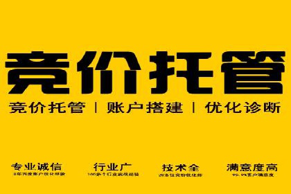 电商平台信息流广告的创意与执行案例分析